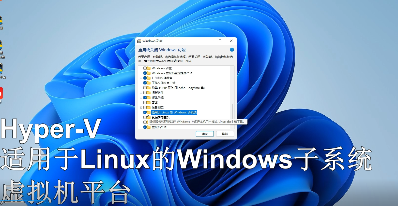 window电脑下载软件的应用(win10电脑下载软件如何选择放在哪一个盘)下载