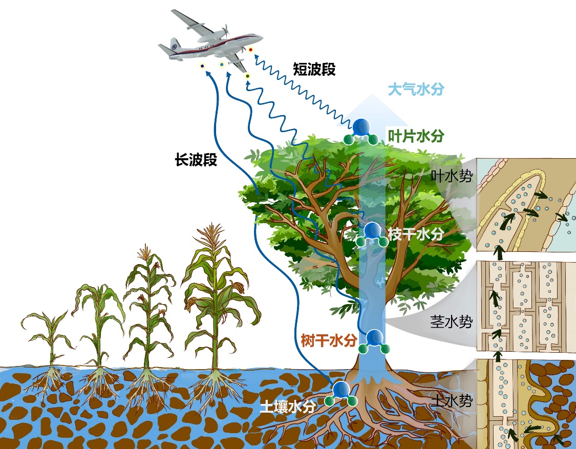 科技资讯与观察(科技资讯杂志社官网)下载